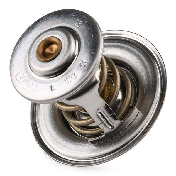 71 Termostat 056121113