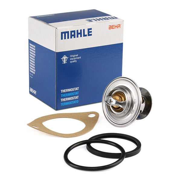 71 Termostat 056121113