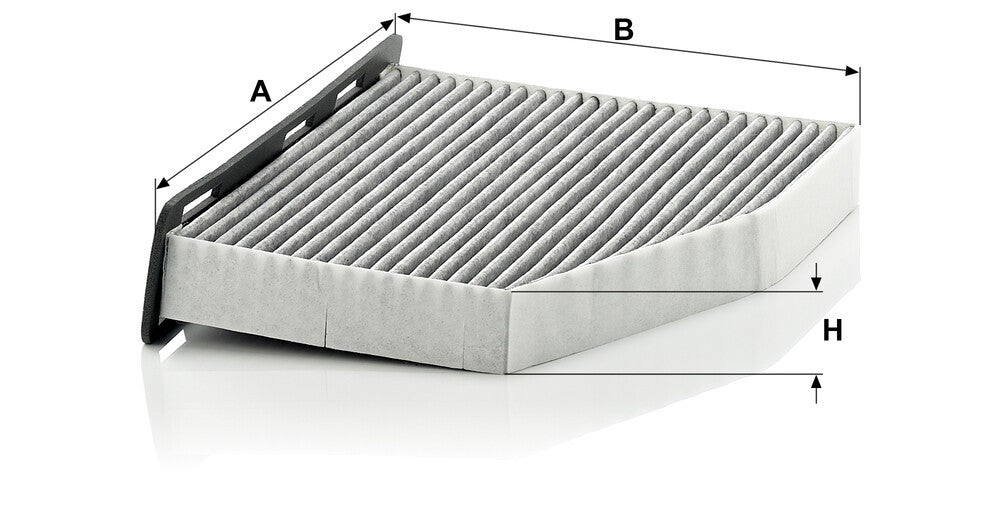 Caddy Karbonlu Polen Filtresi 1K0819644A