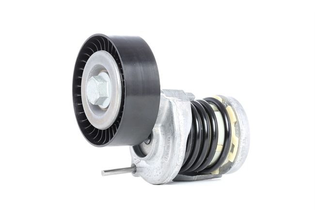 Golf 6 1.6 CAY Gergi Rulmanı Kütüklü 038903315AD