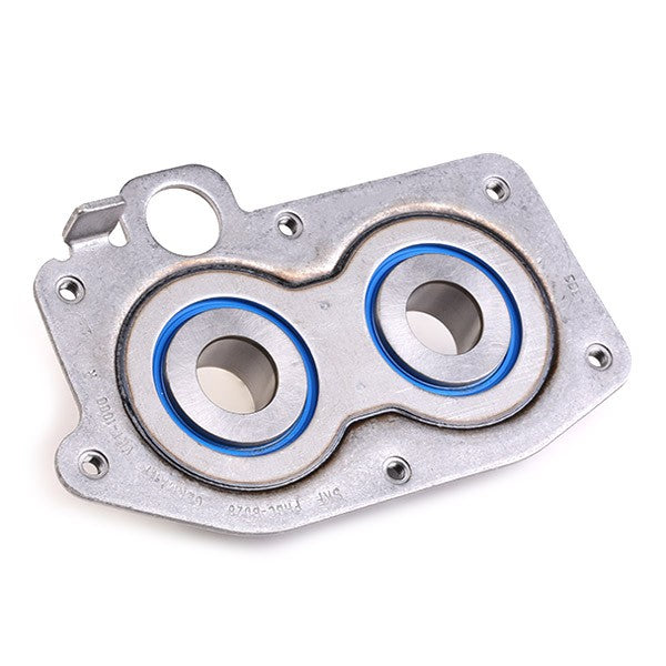 Şanzıman Bilyası (Gözlük Bilya) 02T311206E