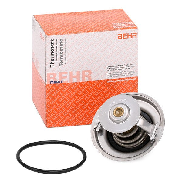 T4 Termostat 069121113 035121113B